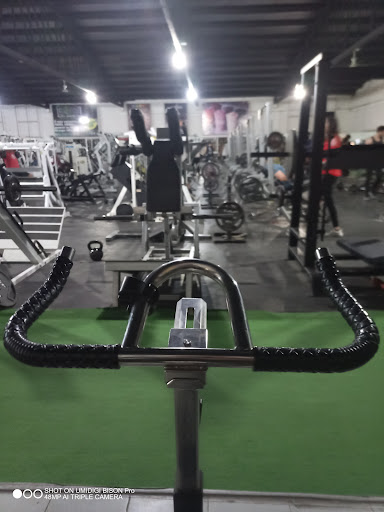 Evolution Gym