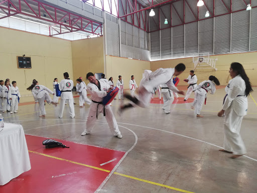 Gimnasio Municipal