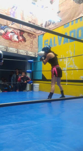 Escuela de Boxeo 