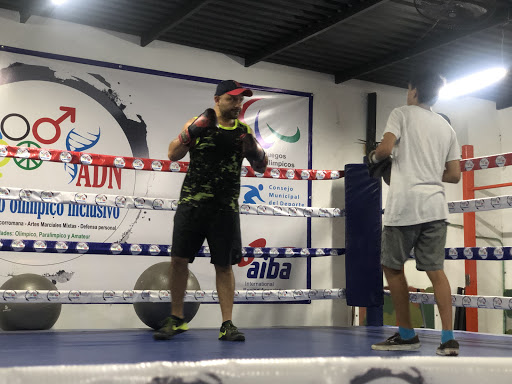 ADN BOX VERACRUZ