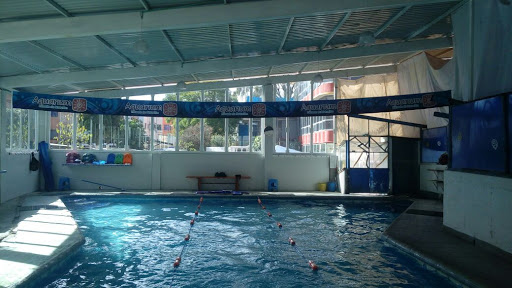 AQUARIUM Escuela de Natación