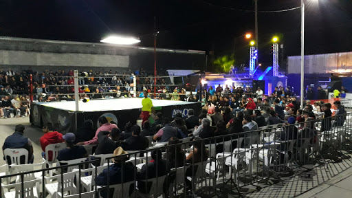 ARENA CALIFORNIA