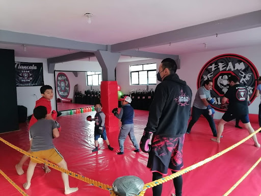 ARTES MARCIALES MIXTAS TEAM FALCON