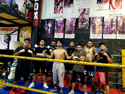 Academia De Boxeo Alto Impacto