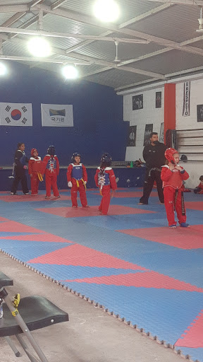 Academia Mexicana de Tae Kwondo Club Cobra Cuautla