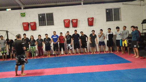 Academia de Artes Marciales Mixtas EKAP