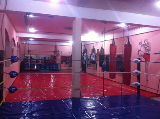 Academia de Box y MMA Pitbull