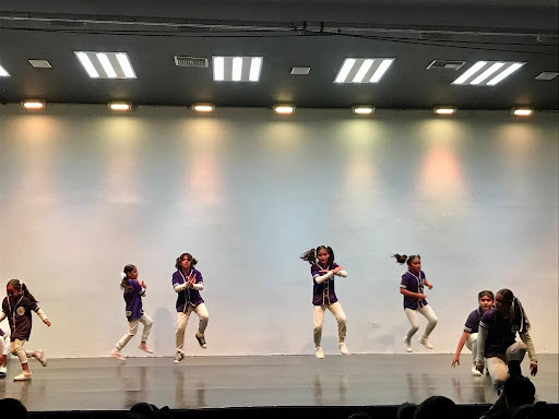 Academia de Danza MINA
