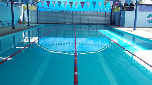 Aqua Terra Escuela de Natación