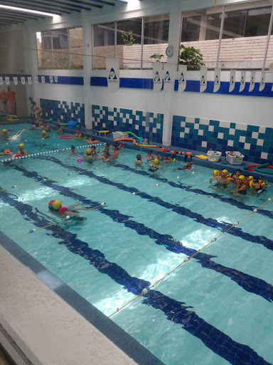Aquara SWIM SCHOOL