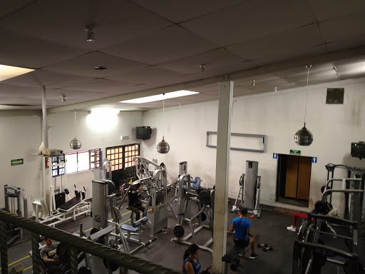 Aries GYM