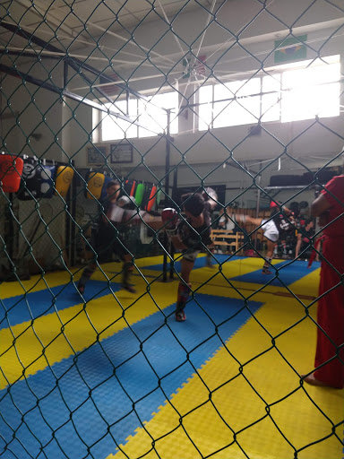 Atlas Gym