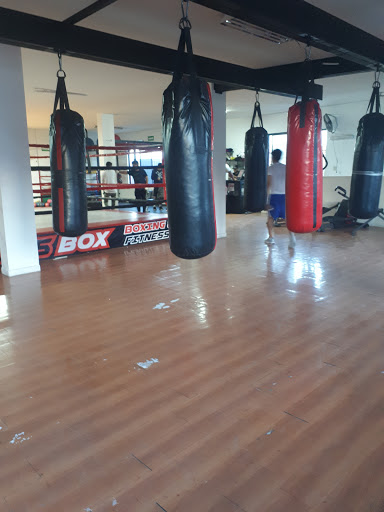 BOX ACADEMY