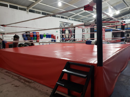 BOX FAARONYJ Venta de Ring y artículos de boxeo