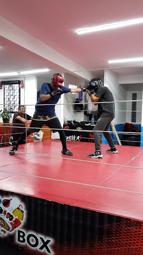 BOX GYM