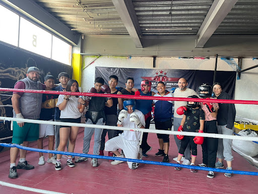 BOXING CLUB 