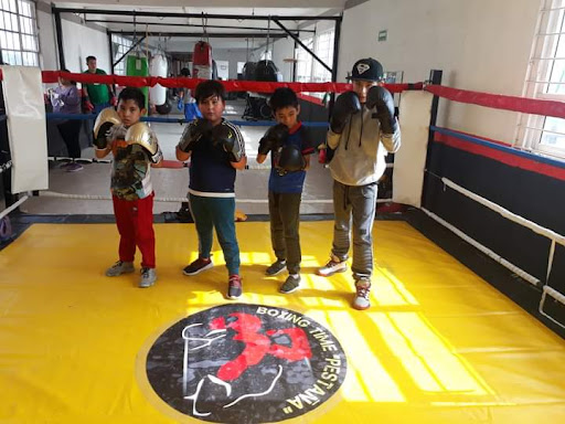 BOXING TIME PESTAÑA