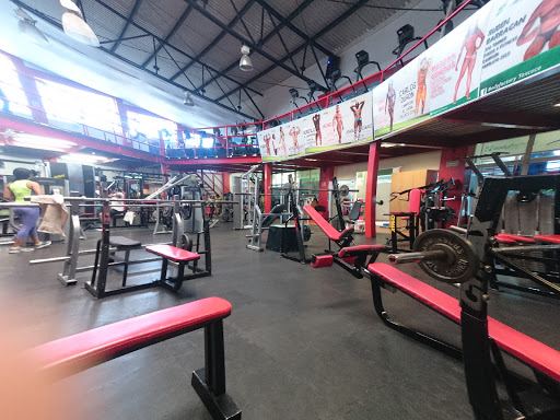 Body Factory Fitness Club
