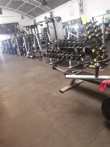 Body Fuxion Gym