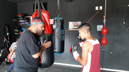 Box Punto 82