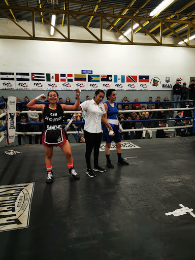 Box Revoluxion Tijuana boxing gym and fitness