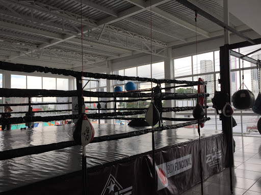Box funcional 40