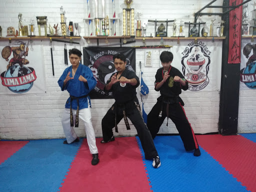 Boxeo-Polinesio Dragón-Lama