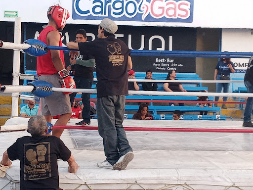 Boxeo de Oro