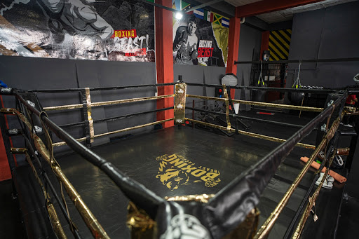 Boxing Beast Factory
