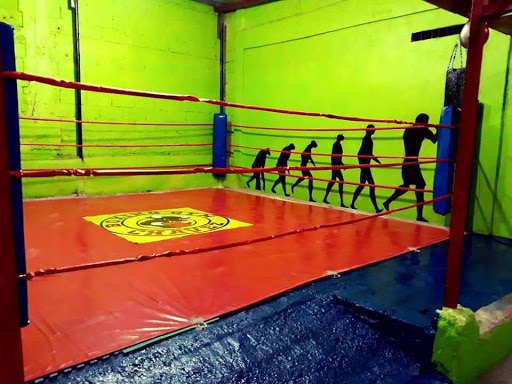 Boxing Gym Chávez
