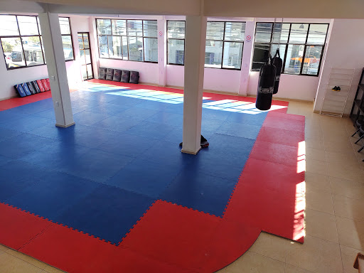 Bushido Academy Tultitlán