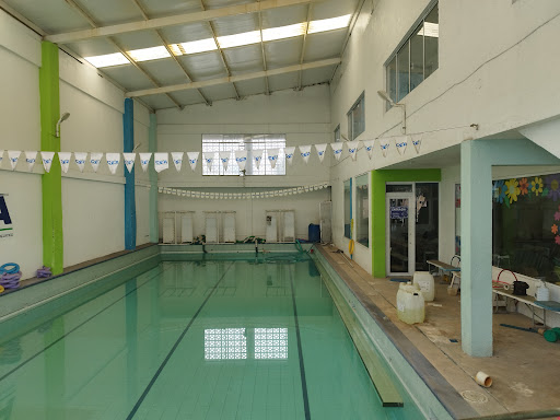CEA swimming and water aerobics