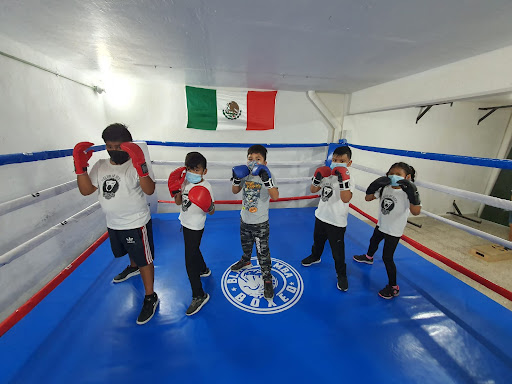 CLUB DE BOX BLACK MAMBA