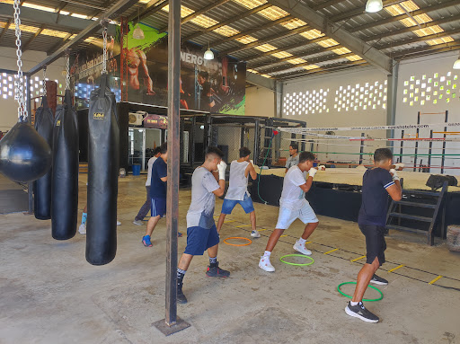 COMBAT FIGHTING EXPERIENCE