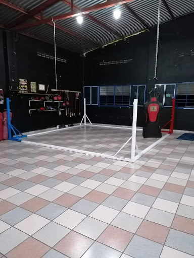 Club De Box Elite