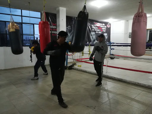 Club De Box Profesional Drago
