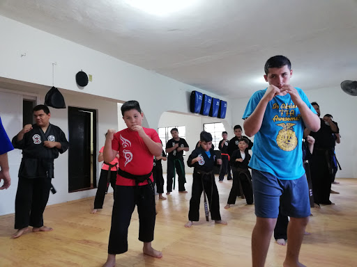 Club Samoa Escuela de Artes Marciales