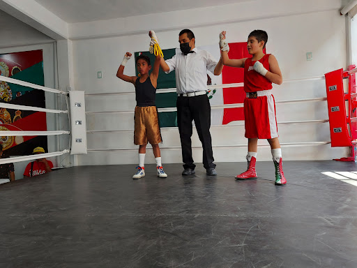 Club de boxeo Bala Boxing