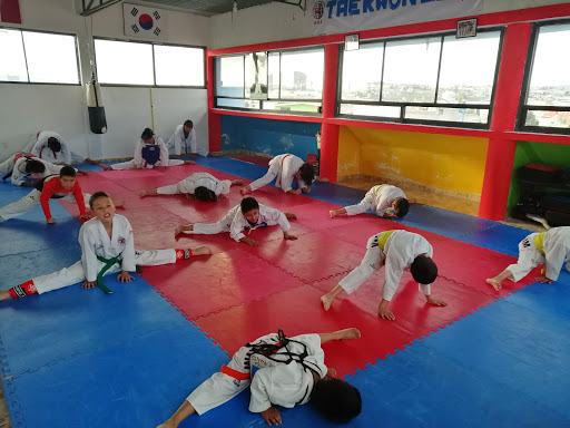Codamk taekwondo Apizaco