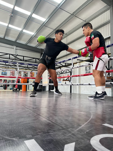 playa del carmen boxing gym