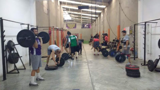 Crossgym300