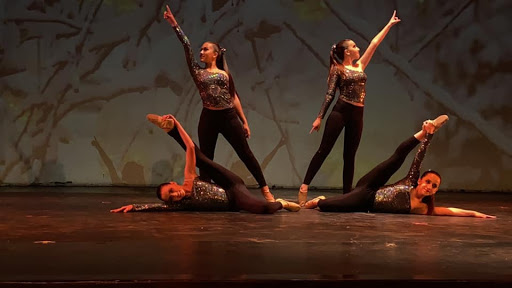 DANZISTICA escuela de baile
