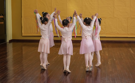 Dance Academy 