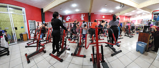 DanzArte Fit