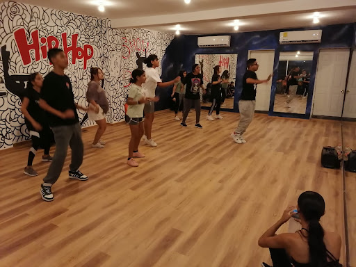 DanzRaw Academy