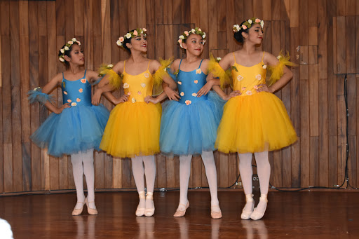 Danza Clásica Academia