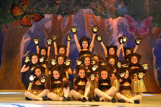 Danzanna Dance Studio