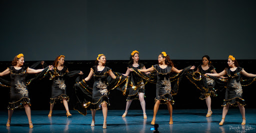 Danzare Studio
