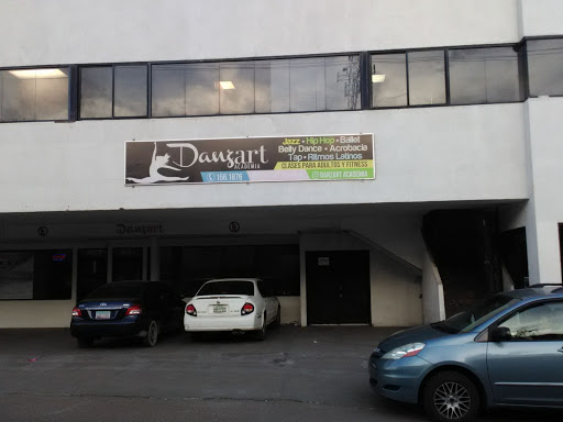 Danzart Academia