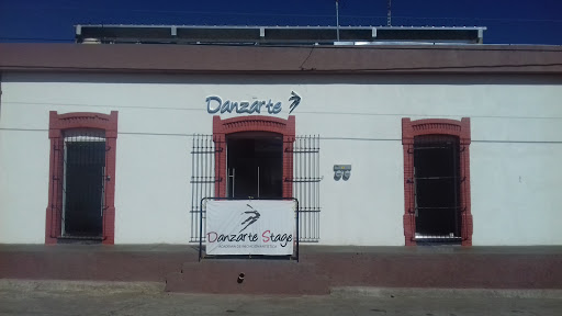 Danzarte Stage